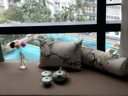 Skysuites@Anson (D2), Apartment #561762141